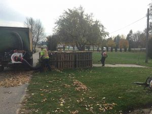 Fall Leaf removal