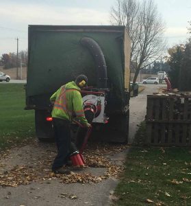 Fall Leaf removal